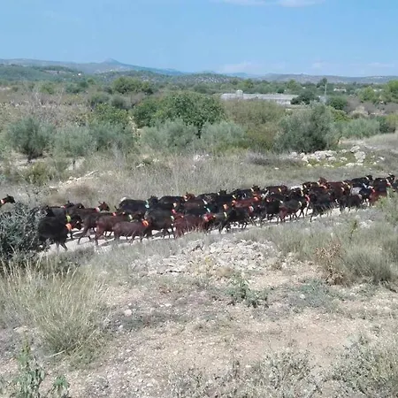 Mas Halcón * Useras